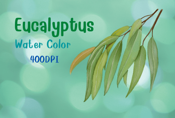Download Eucalyptus Watercolor by Hand Draw - Watercolor Collection