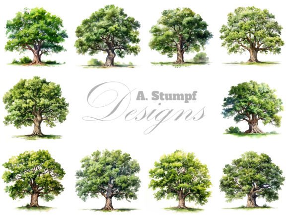 Download Oak Tree Watercolor Clipart Set - Watercolor Collection